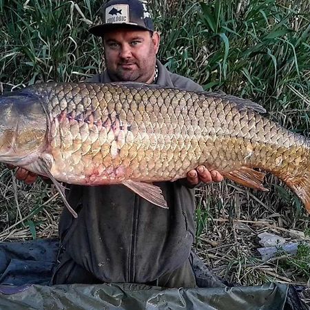 R U Ready Fishing, River Ebro Мекіненса Екстер'єр фото