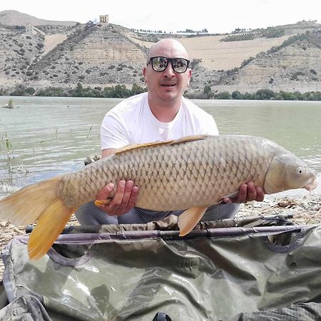 R U Ready Fishing, River Ebro Мекіненса Екстер'єр фото