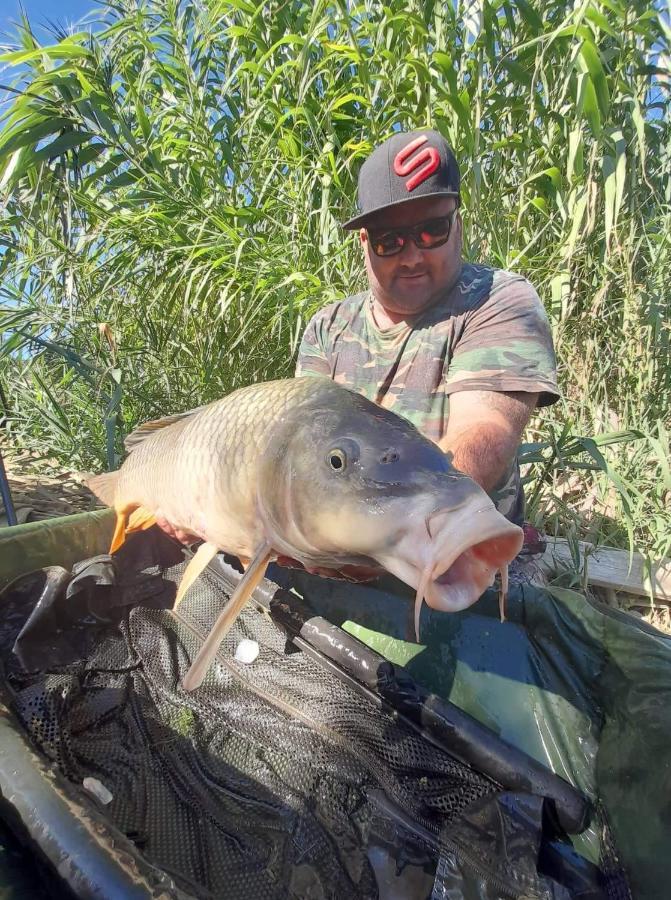 R U Ready Fishing, River Ebro Мекіненса Екстер'єр фото