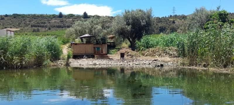 R U Ready Fishing, River Ebro Мекіненса Екстер'єр фото