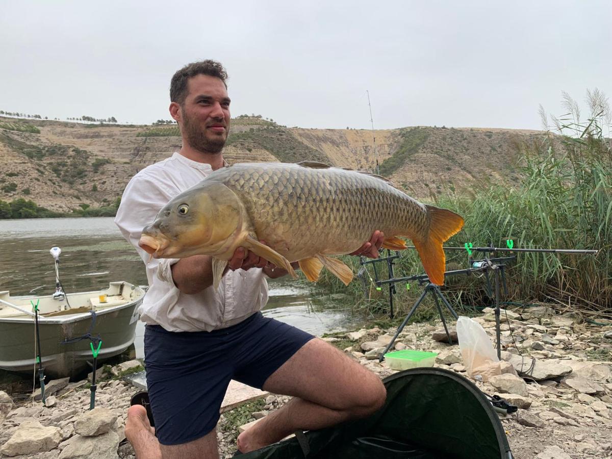 R U Ready Fishing, River Ebro Мекіненса Екстер'єр фото